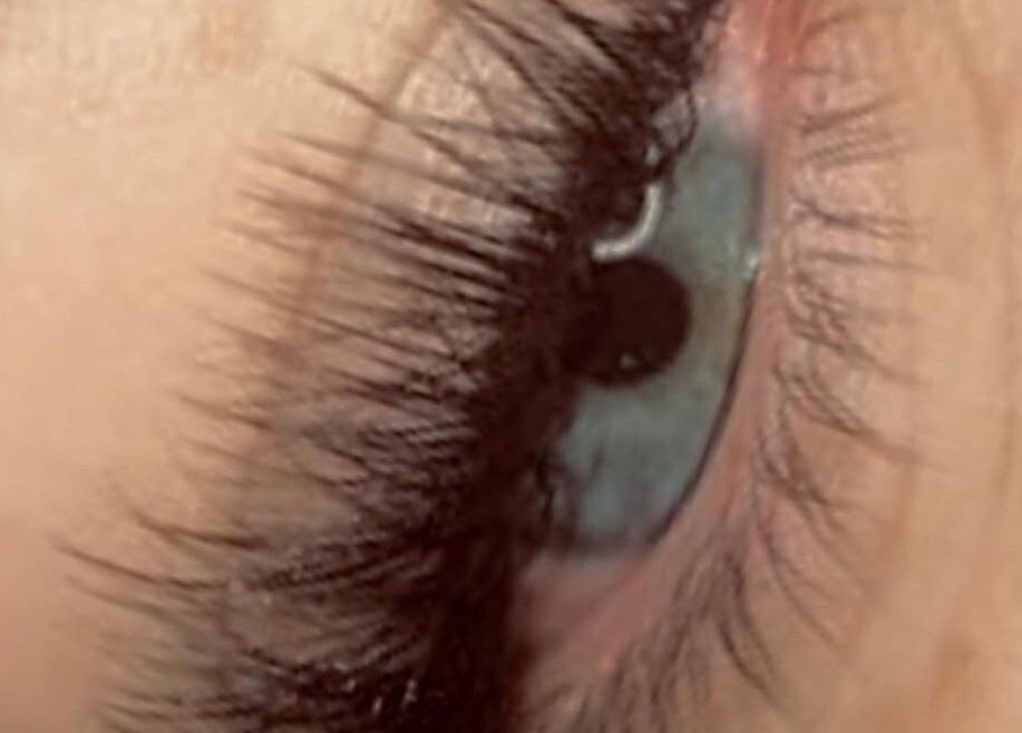 Close-up of finely detailed lashes from Lashaddiction in Sheffield, England, GB.