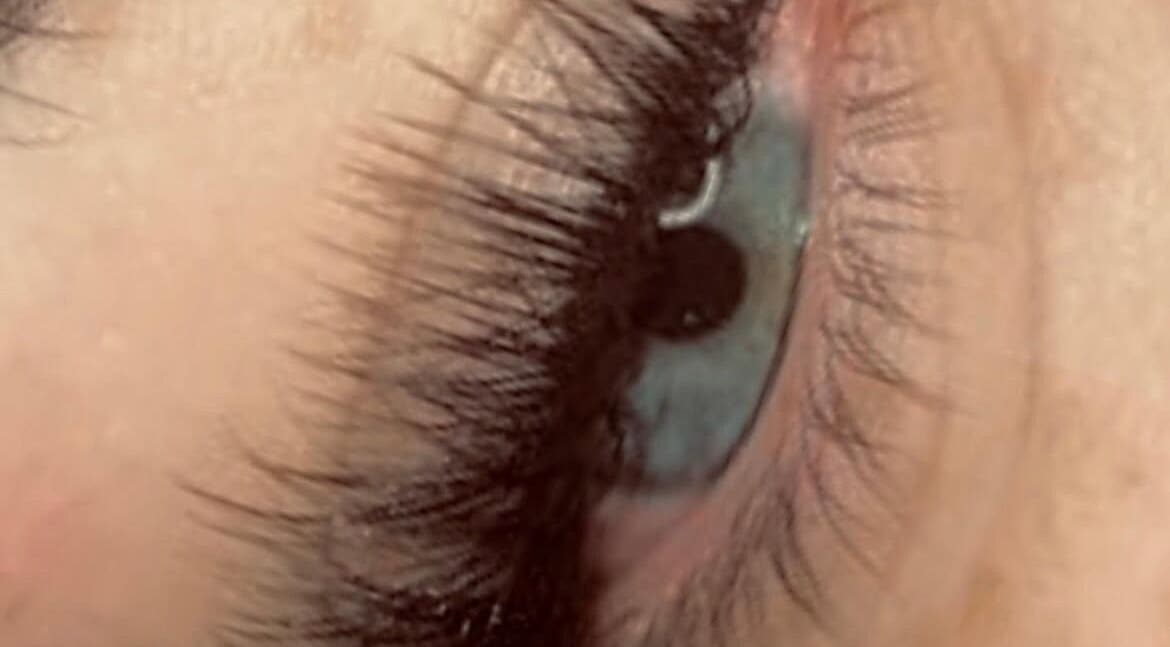 Close-up of finely detailed lashes from Lashaddiction in Sheffield, England, GB.