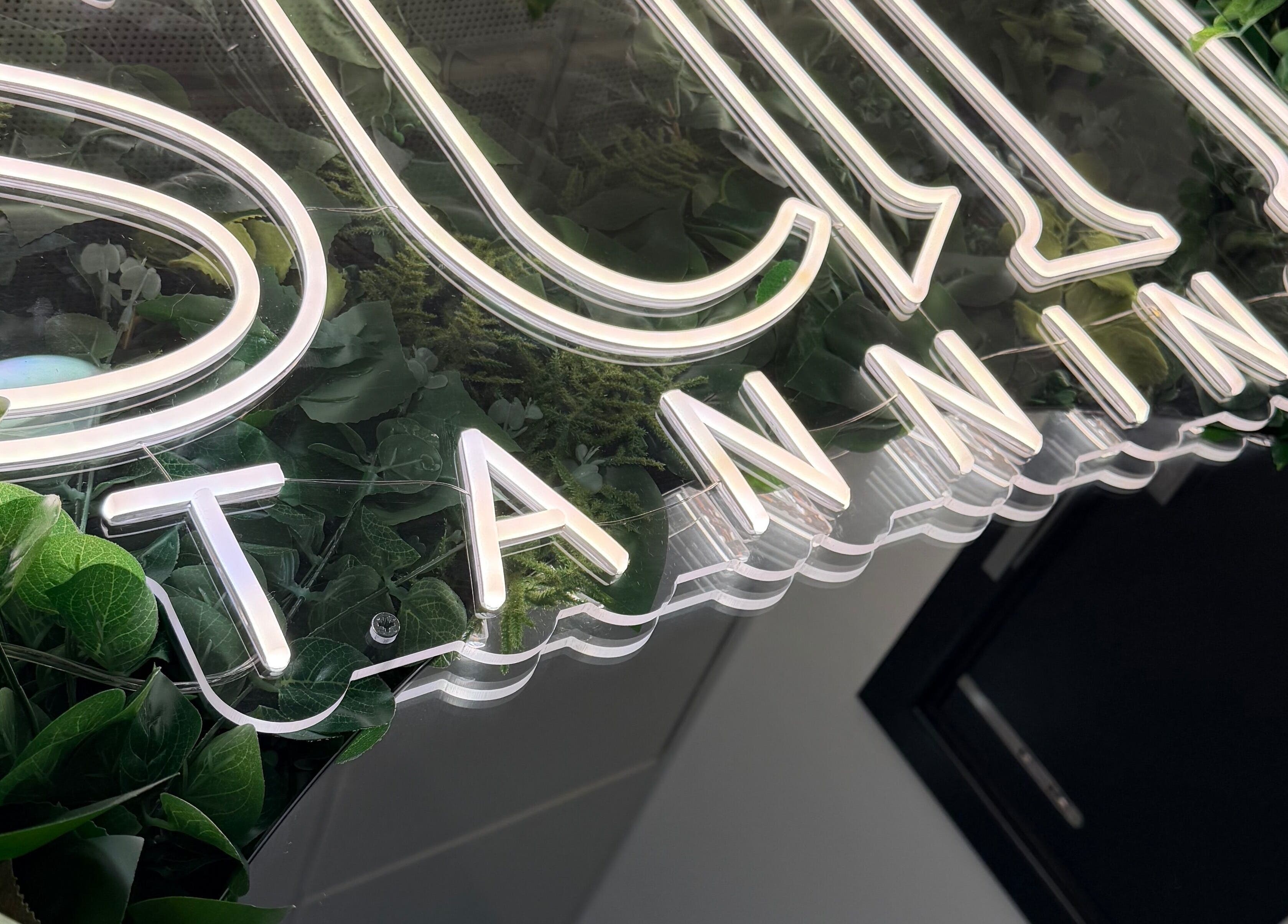 Studio Amy sign with neon glow surrounded by lush greenery in Chester-le-Street, England, GB.