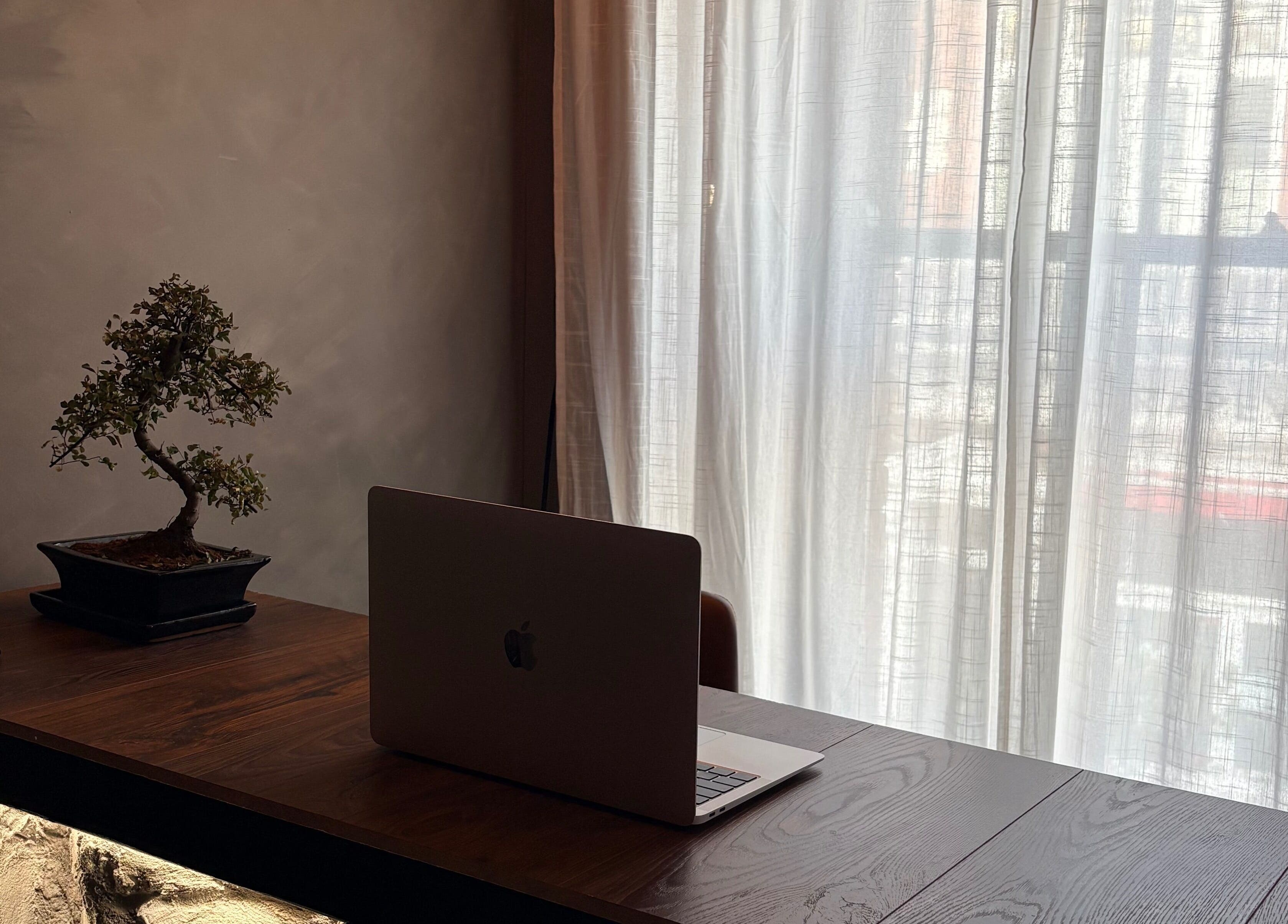 Serene workspace at N a n d o | Massage Therapy, Dalkey, County Dublin, IE with a bonsai and laptop.