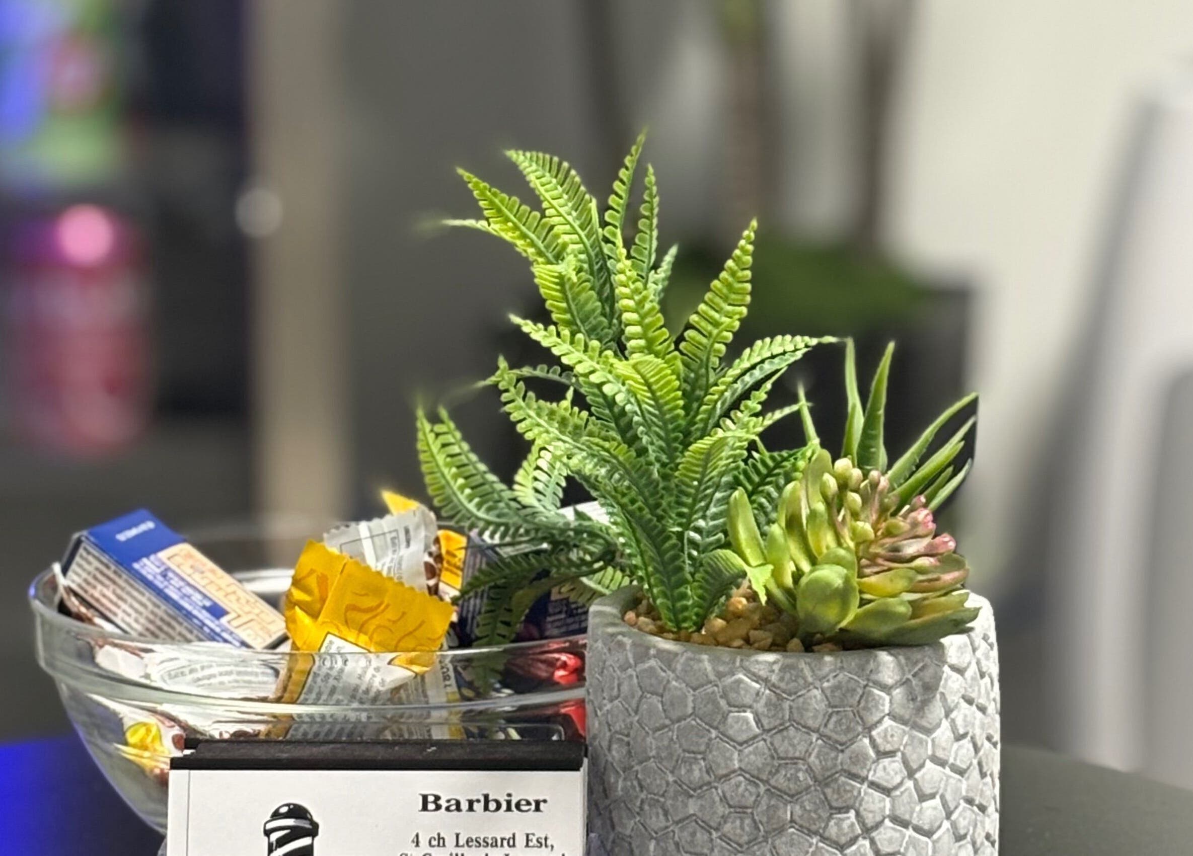 La Bar.bière welcome setting with plant and snacks, Saint-cyrille-de-lessard, Québec, CA.