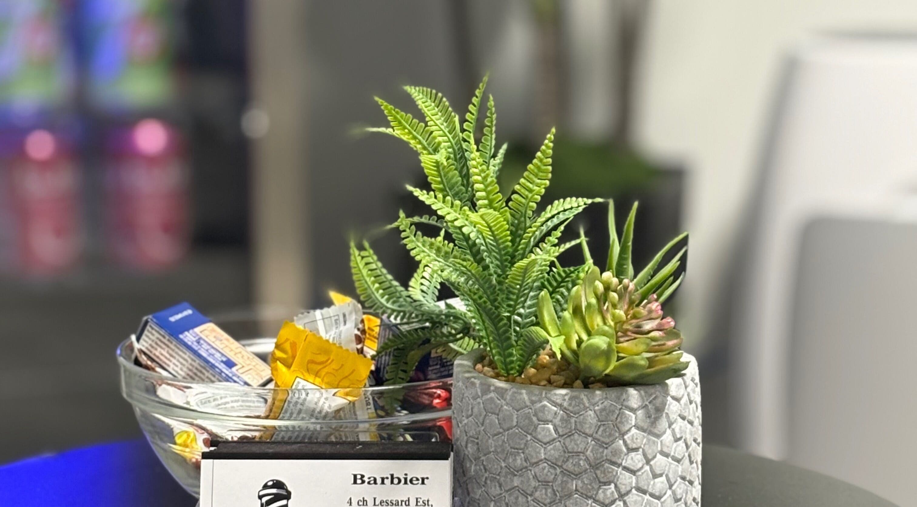 La Bar.bière welcome setting with plant and snacks, Saint-cyrille-de-lessard, Québec, CA.