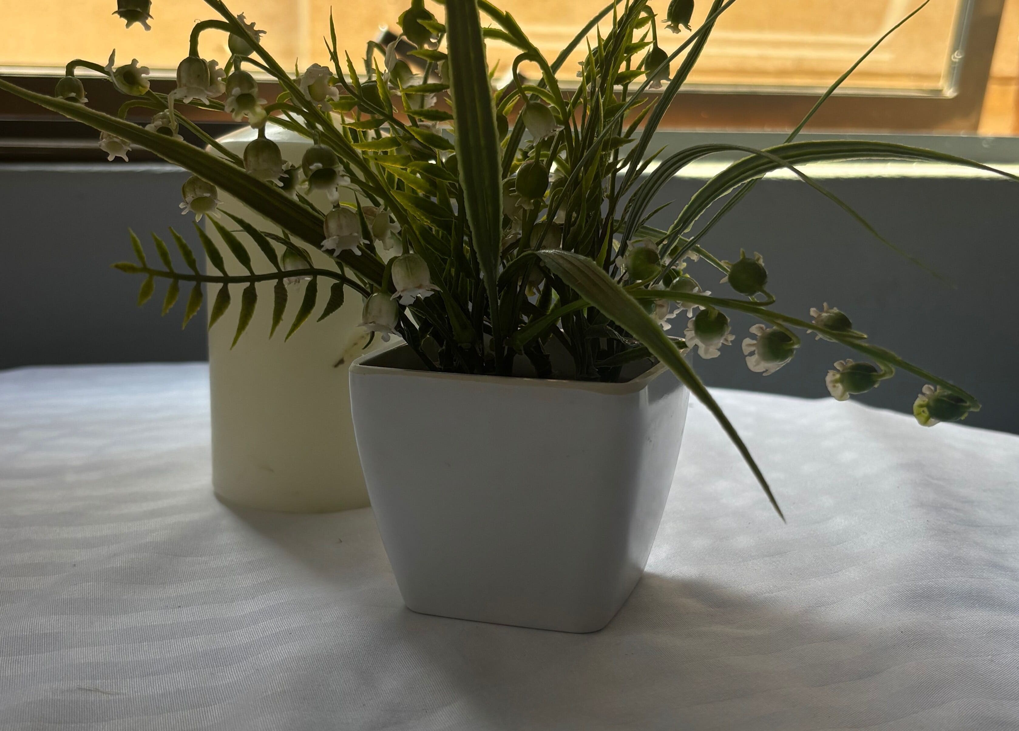 Lush green plants in white pot adorning Nails by Nelz, Alberton, Gauteng, ZA, adding a calming touch.