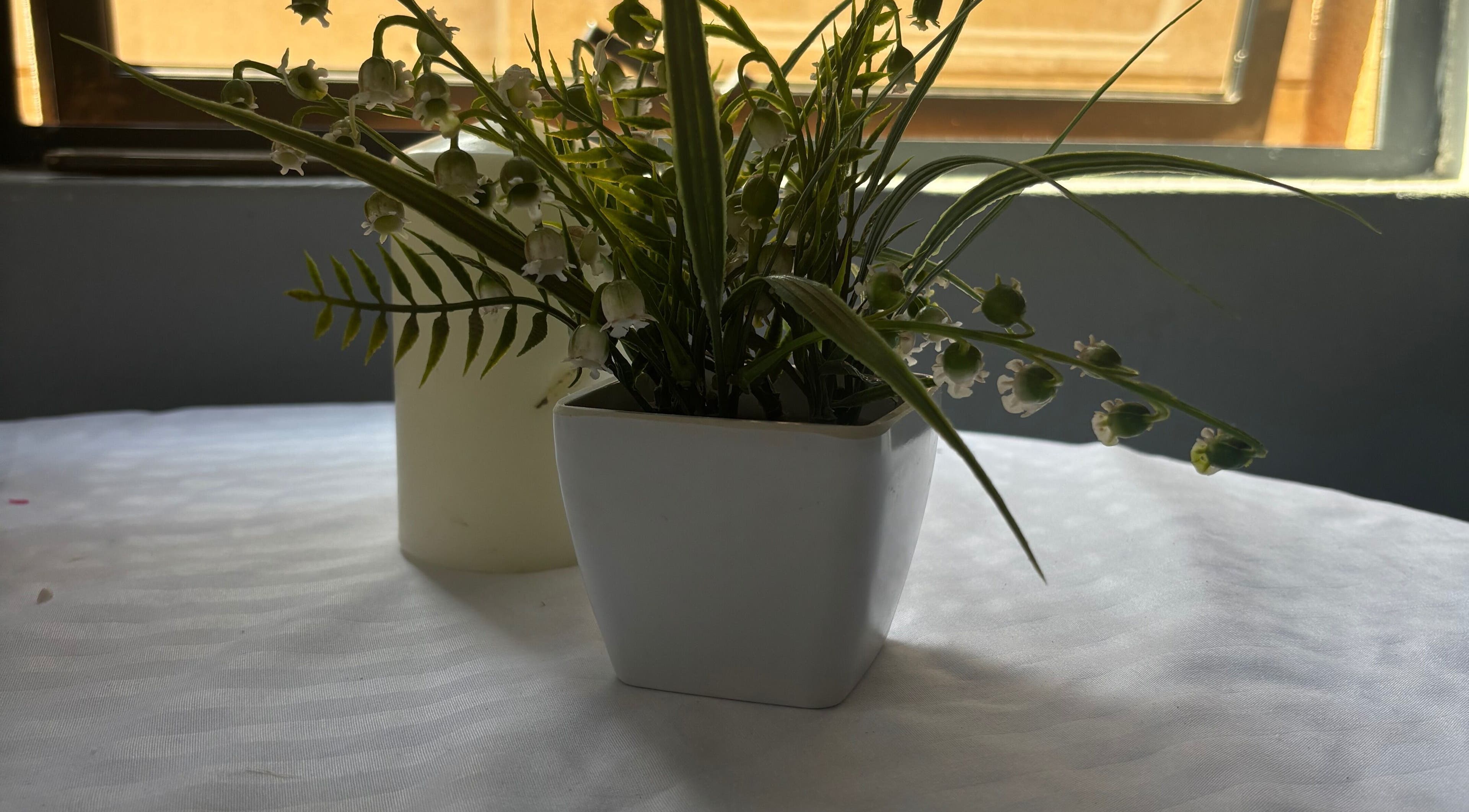 Elegant potted plant at Nails by Nelz, enhancing the tranquil ambiance in Alberton, Gauteng, ZA salon.