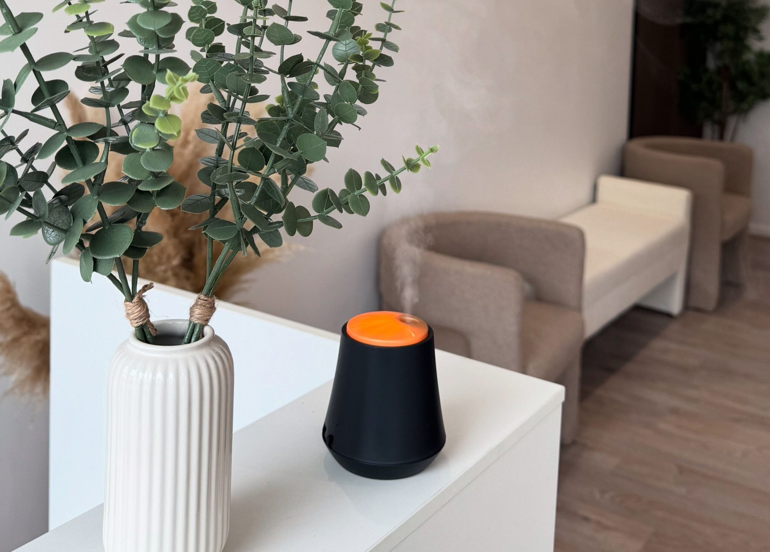 Relaxing corner at Beauty By Tasha x, featuring greenery and scented diffuser, Sheffield, England, GB.