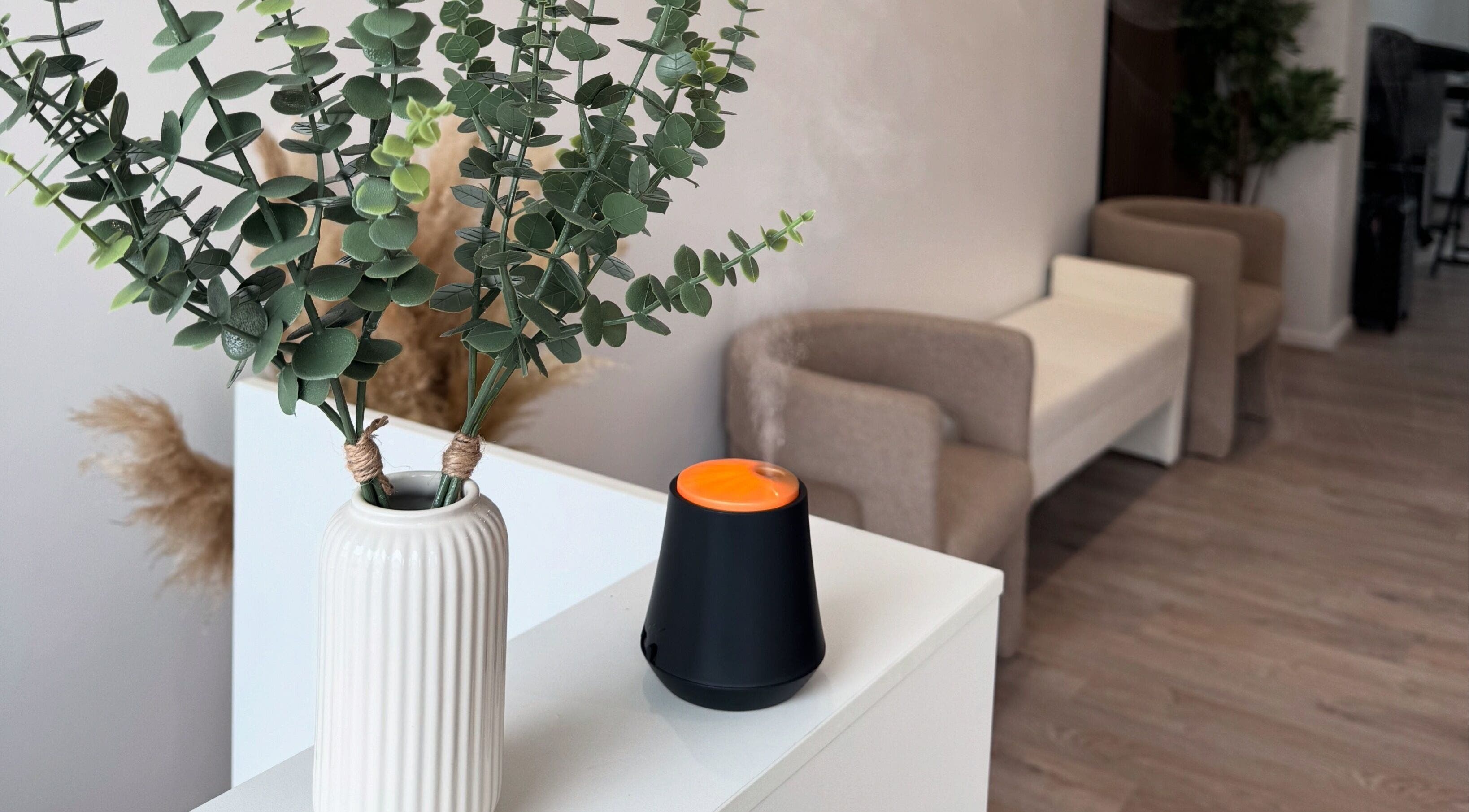 Relaxing corner at Beauty By Tasha x, featuring greenery and scented diffuser, Sheffield, England, GB.