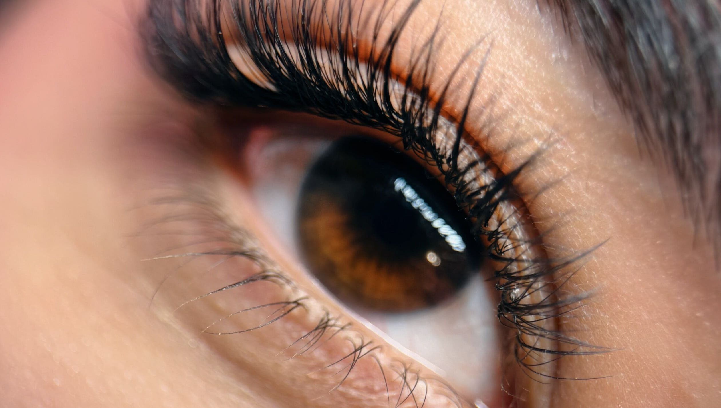 Close-up of lush eyelashes at Frances Lash & Brows Nort Van, Vancouver, British Columbia, CA.