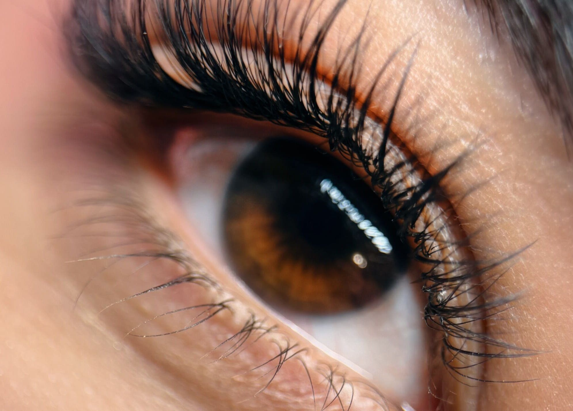 Close-up of lush eyelashes at Frances Lash & Brows Nort Van, Vancouver, British Columbia, CA.