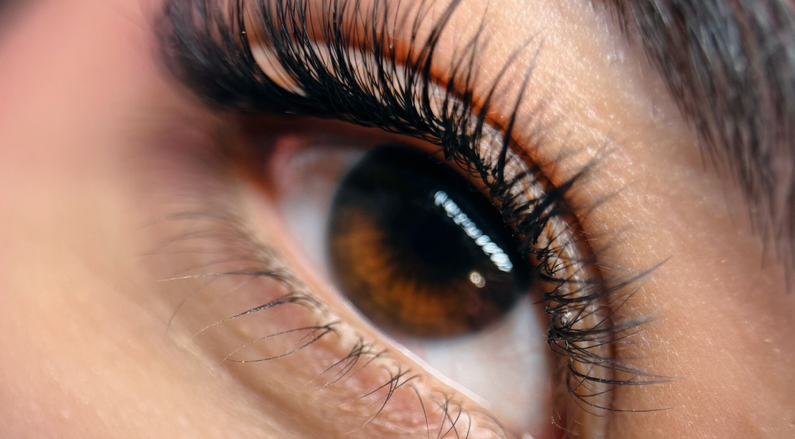 Close-up of lush eyelashes at Frances Lash & Brows Nort Van, Vancouver, British Columbia, CA.