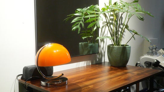 Move B Wellness Studio