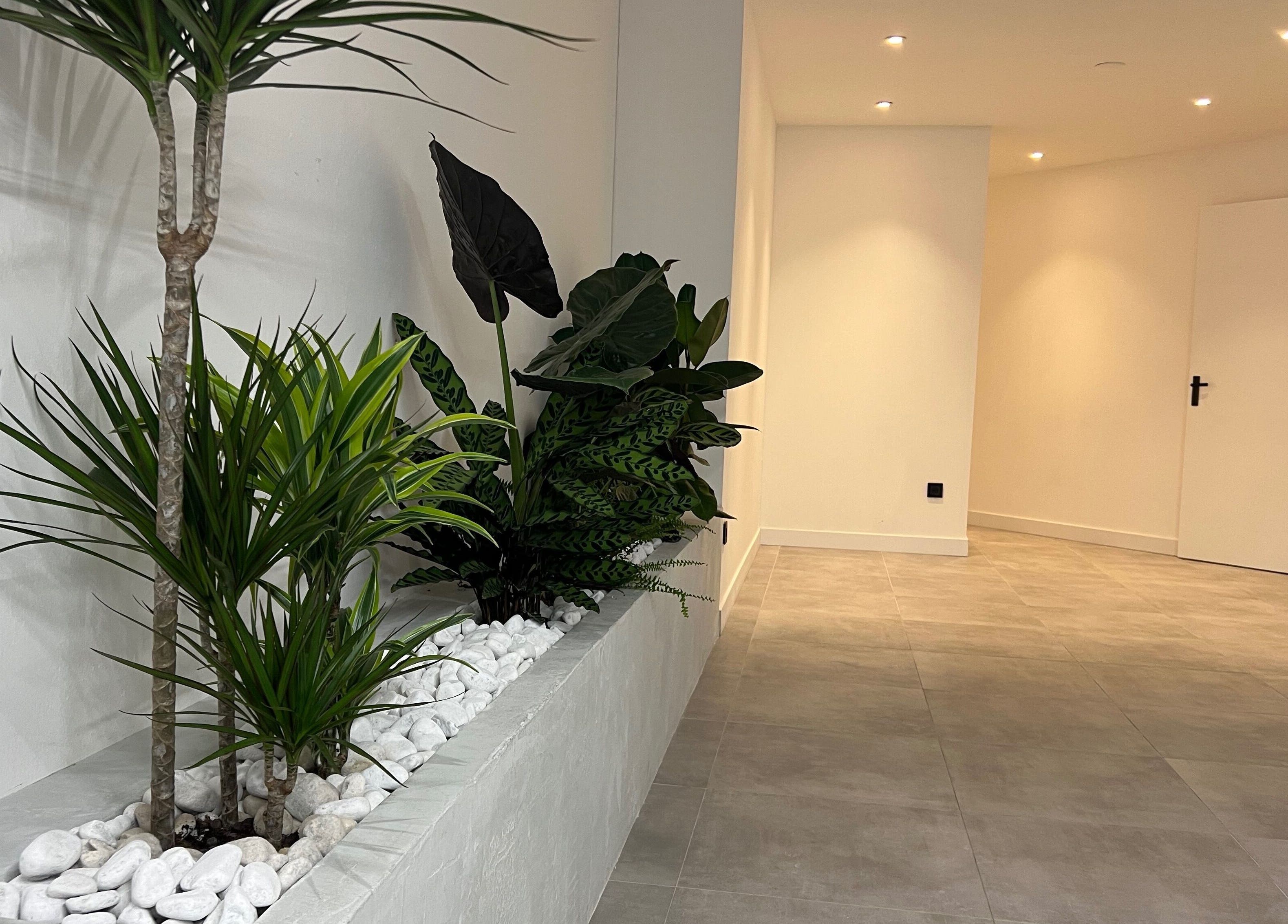 Stijlvolle planten bij Bock-Mencare, Geleen, Limburg, NL, creëren een rustige ambiance in de gang.