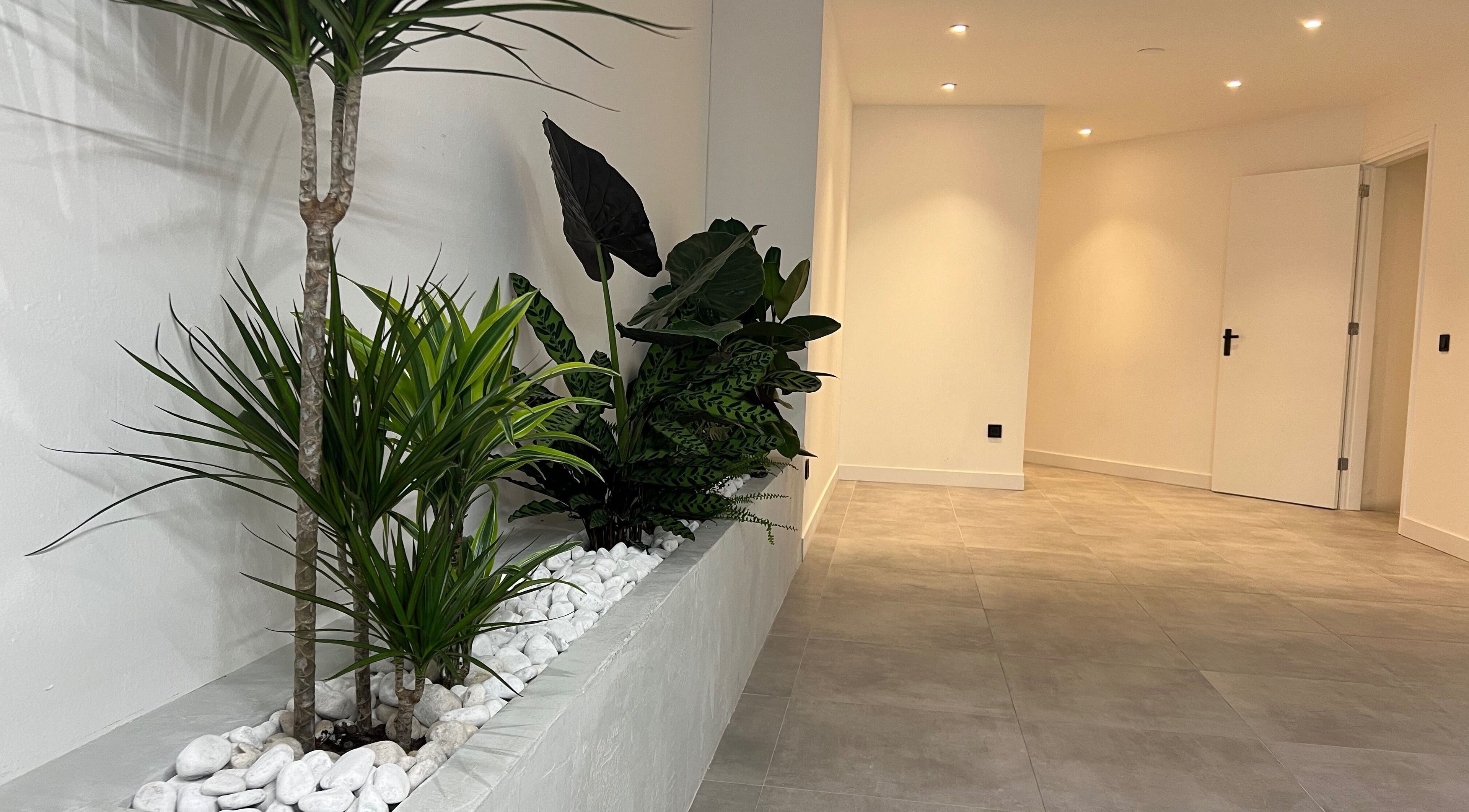 Stijlvolle planten bij Bock-Mencare, Geleen, Limburg, NL, creëren een rustige ambiance in de gang.
