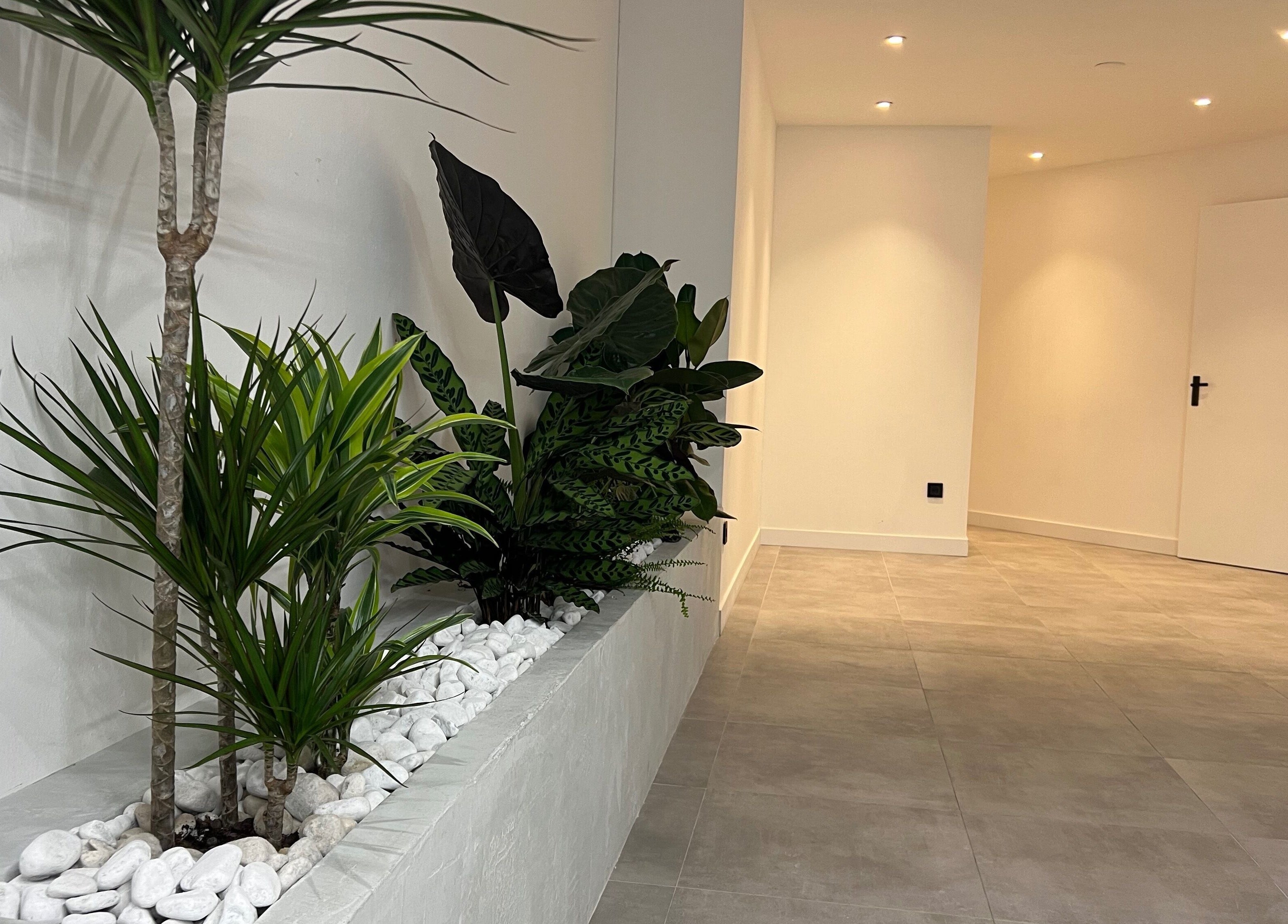 Strakke planten in de hal van Bock-Mencare, Geleen, Limburg, NL, voor een rustgevende sfeer.