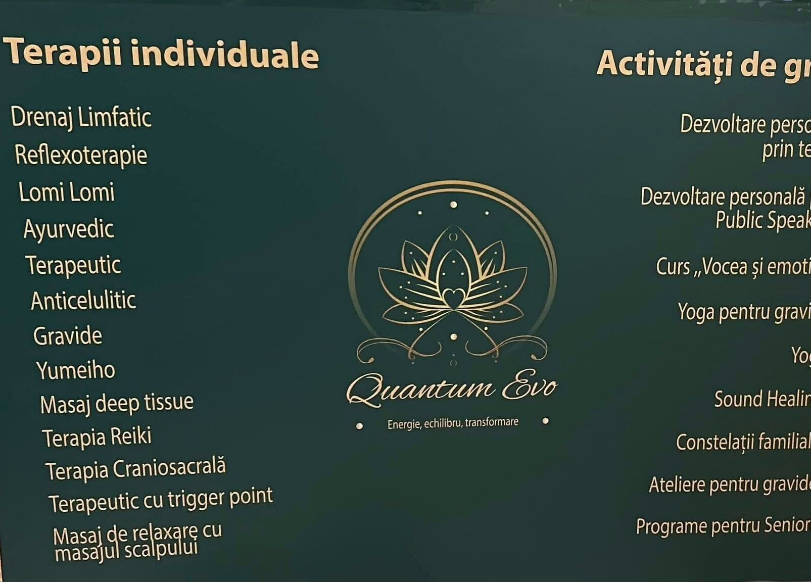 List of individual and group therapies at QuantumEvo in Brașov, Județul Brașov, RO.