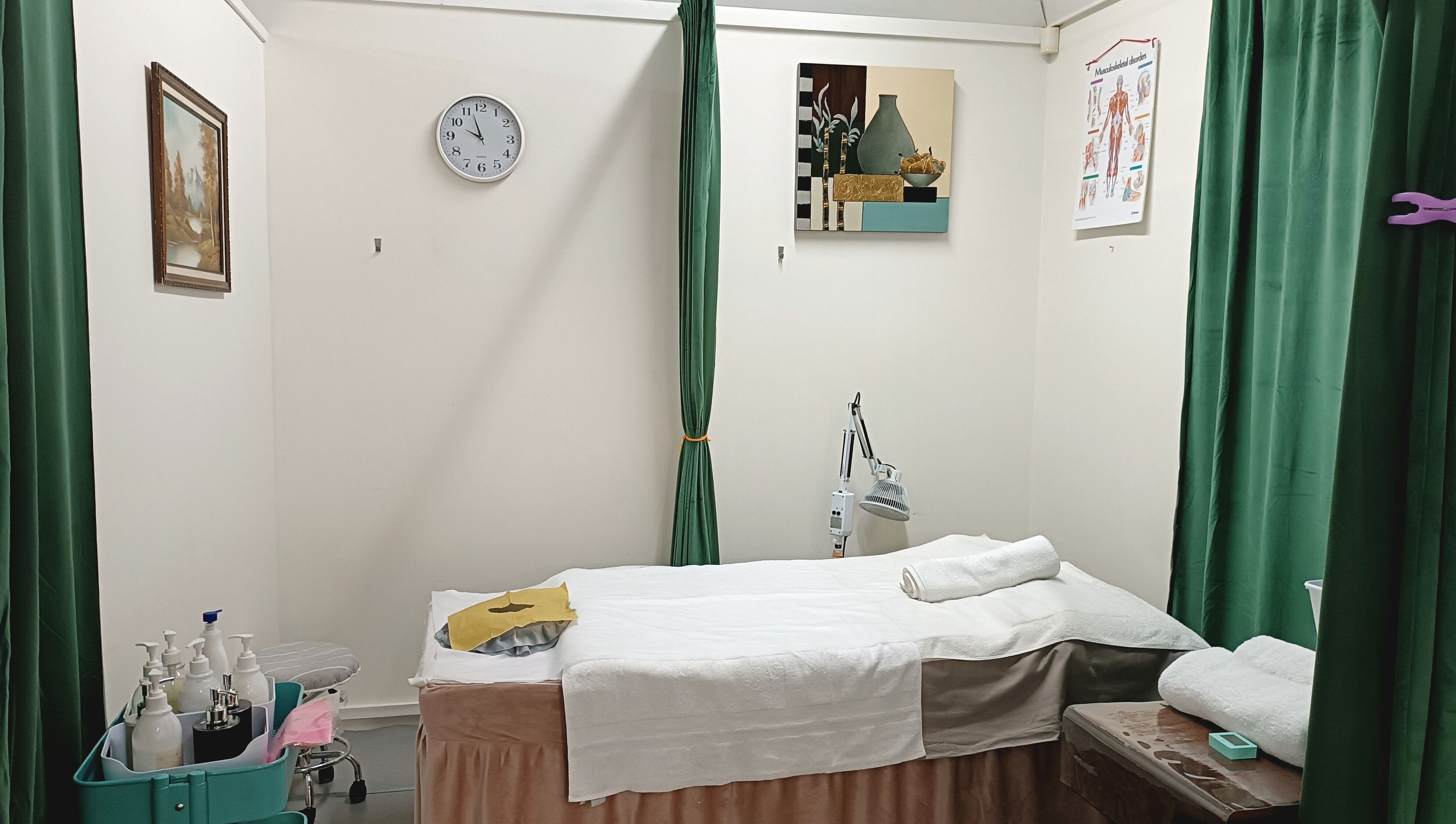 Relaxing treatment room at Harmony River Studio, Auckland, NZ, featuring a cozy bed and calming decor.