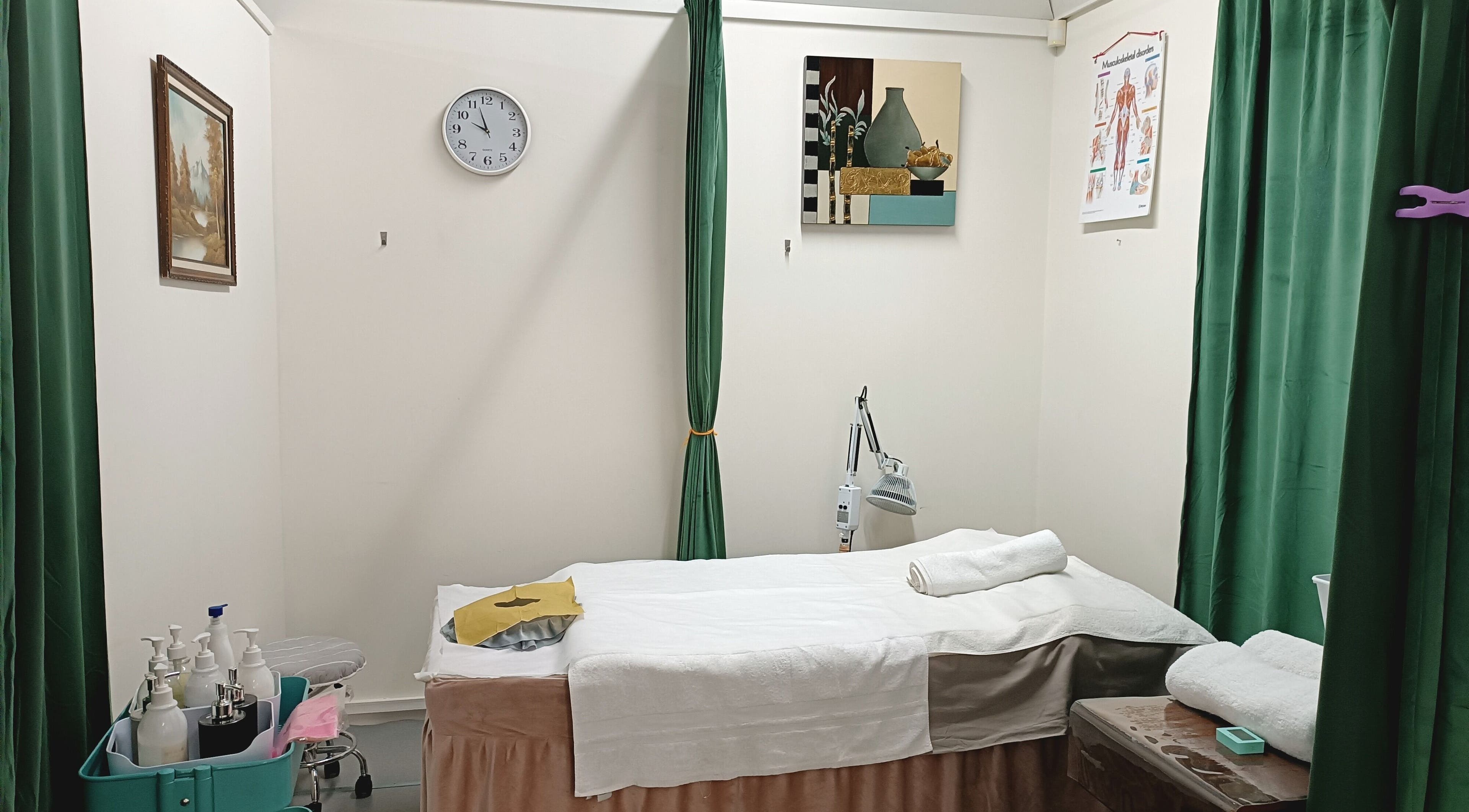 Relaxing treatment room at Harmony River Studio, Auckland, NZ, featuring a cozy bed and calming decor.