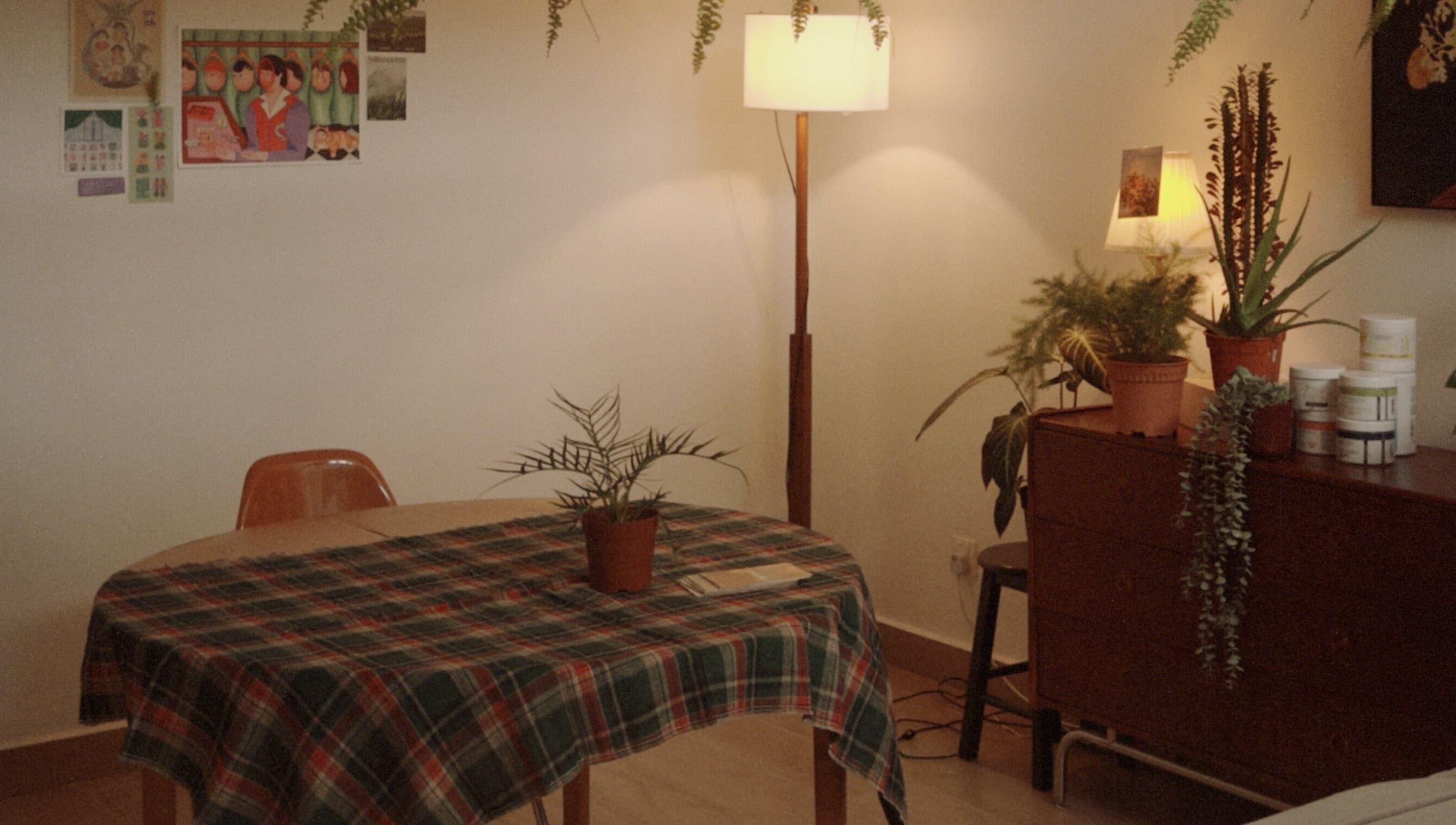 Cozy room at Noamskin, Kuala Lumpur with plants on a plaid-covered table and dresser.