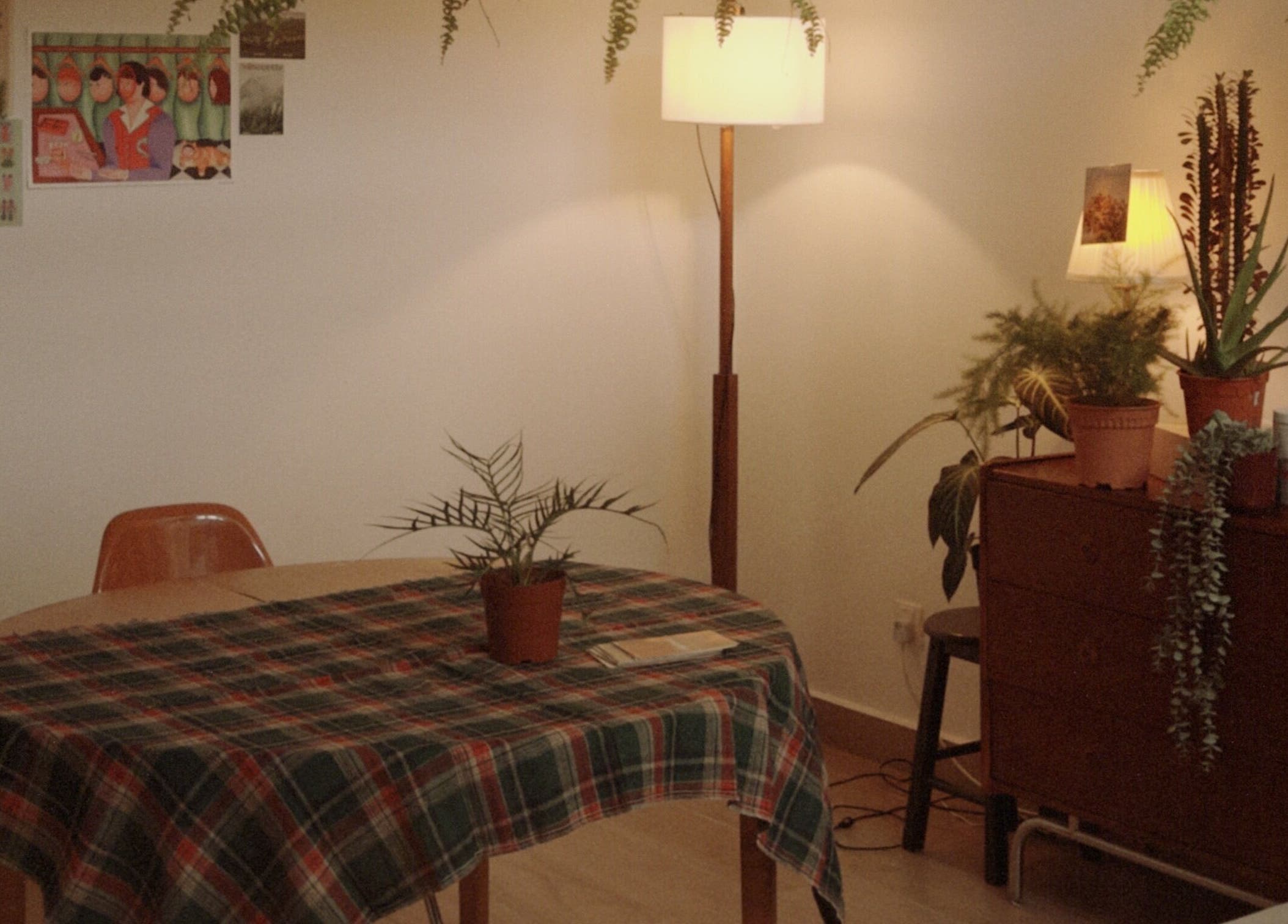 Cozy room at Noamskin, Kuala Lumpur with plants on a plaid-covered table and dresser.