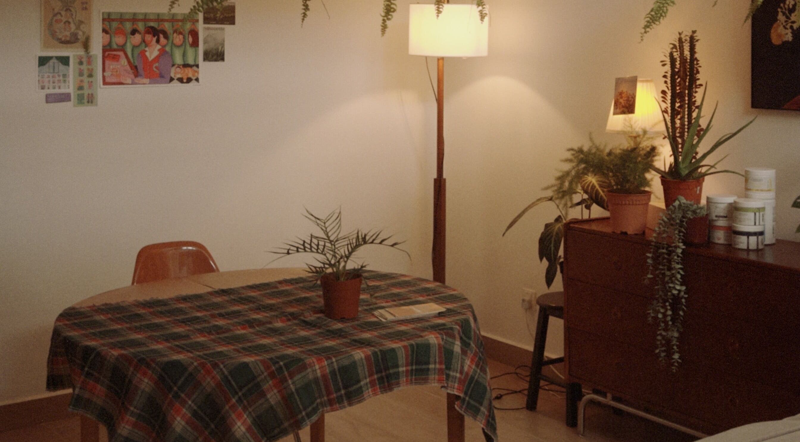 Cozy room at Noamskin, Kuala Lumpur with plants on a plaid-covered table and dresser.