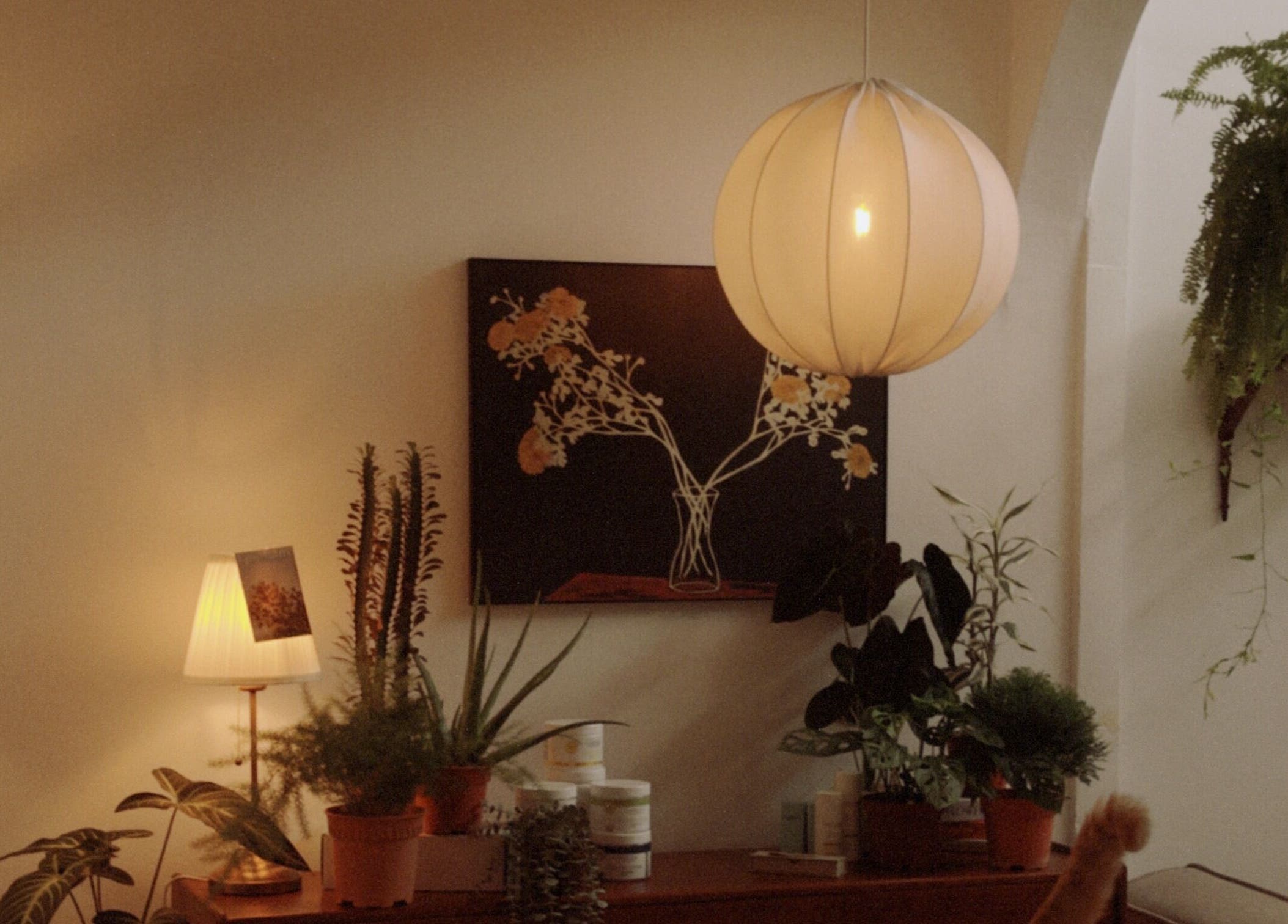 Cozy Noamskin corner with plants and soft lighting in Kuala Lumpur, Wilayah Persekutuan Kuala Lumpur, MY.