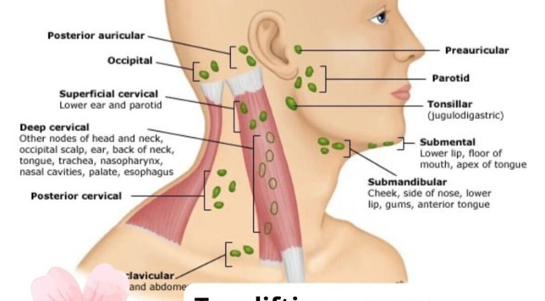 Lymph node chart from Noni's Face Therapy showing facial anatomy, located in Bali, Bali, ID.
