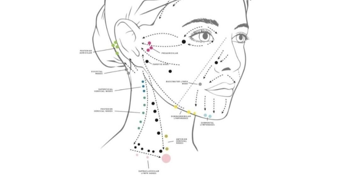 Detailed lymphatic map for face massage at Noni's Face Therapy, Bali, Bali, ID.