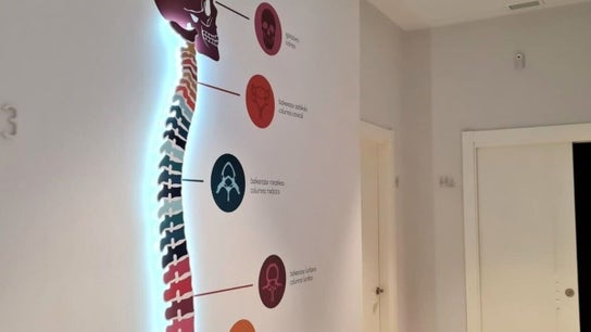 Fisioterapia y Quiropráctica