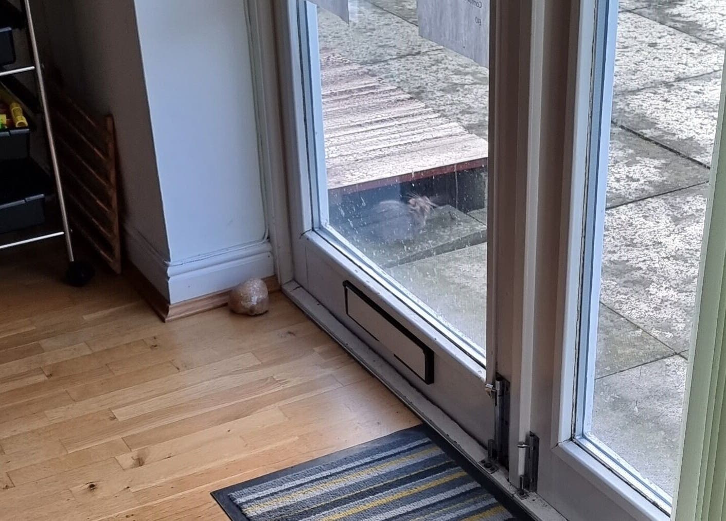 Inviting entryway at Hairbysaven#Savenwest, Ipswich, England, GB showcasing a modern glass door.