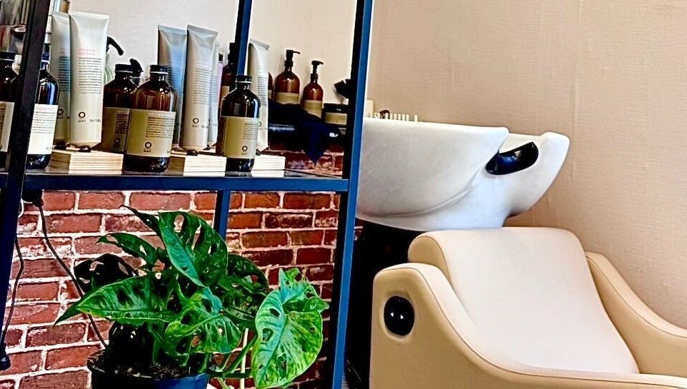 Modern wash station at Miss Organic Salon, Prahran, Victoria, AU, with natural products and plant decor.