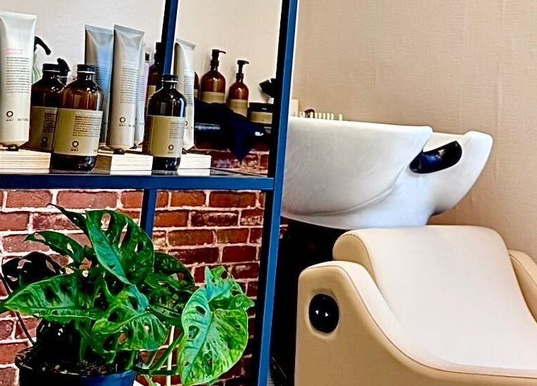 Modern wash station at Miss Organic Salon, Prahran, Victoria, AU, with natural products and plant decor.