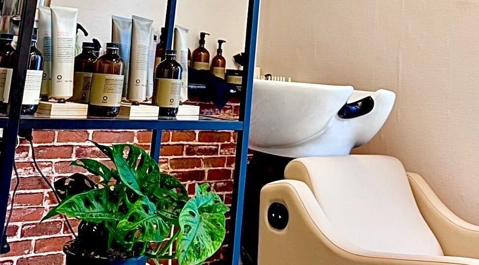 Modern wash station at Miss Organic Salon, Prahran, Victoria, AU, with natural products and plant decor.