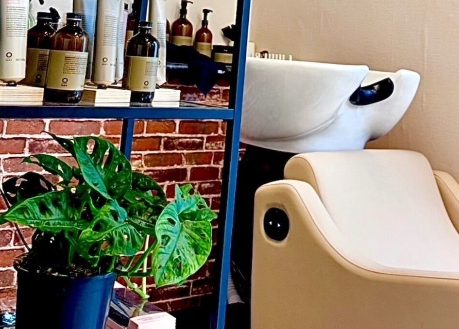Stylish interior of Miss Organic Salon, Prahran, Victoria, AU, showcasing plants and sleek styling chairs.