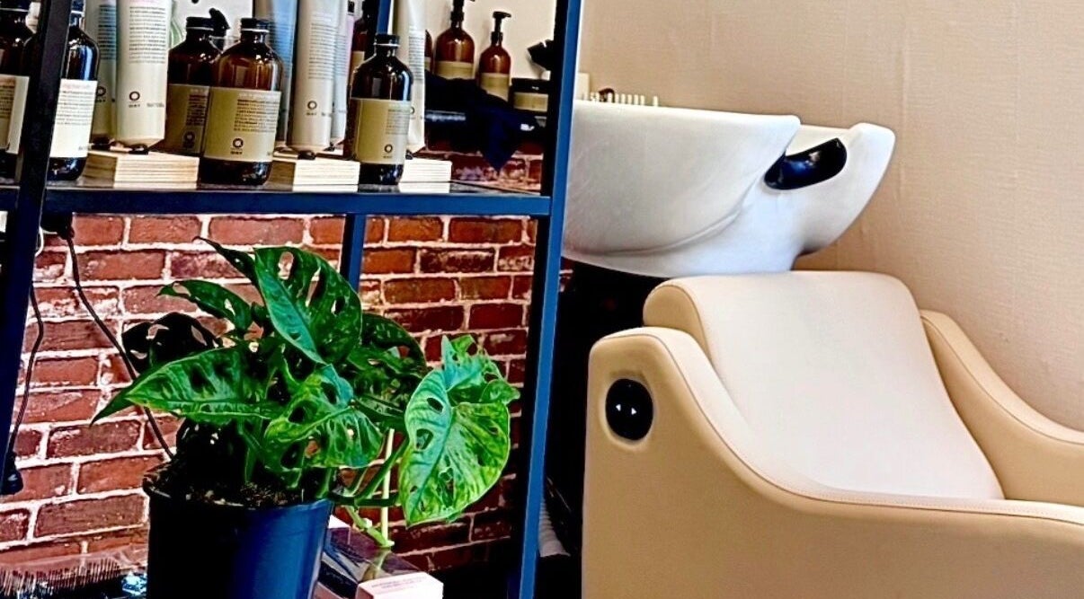 Stylish interior of Miss Organic Salon, Prahran, Victoria, AU, showcasing plants and sleek styling chairs.
