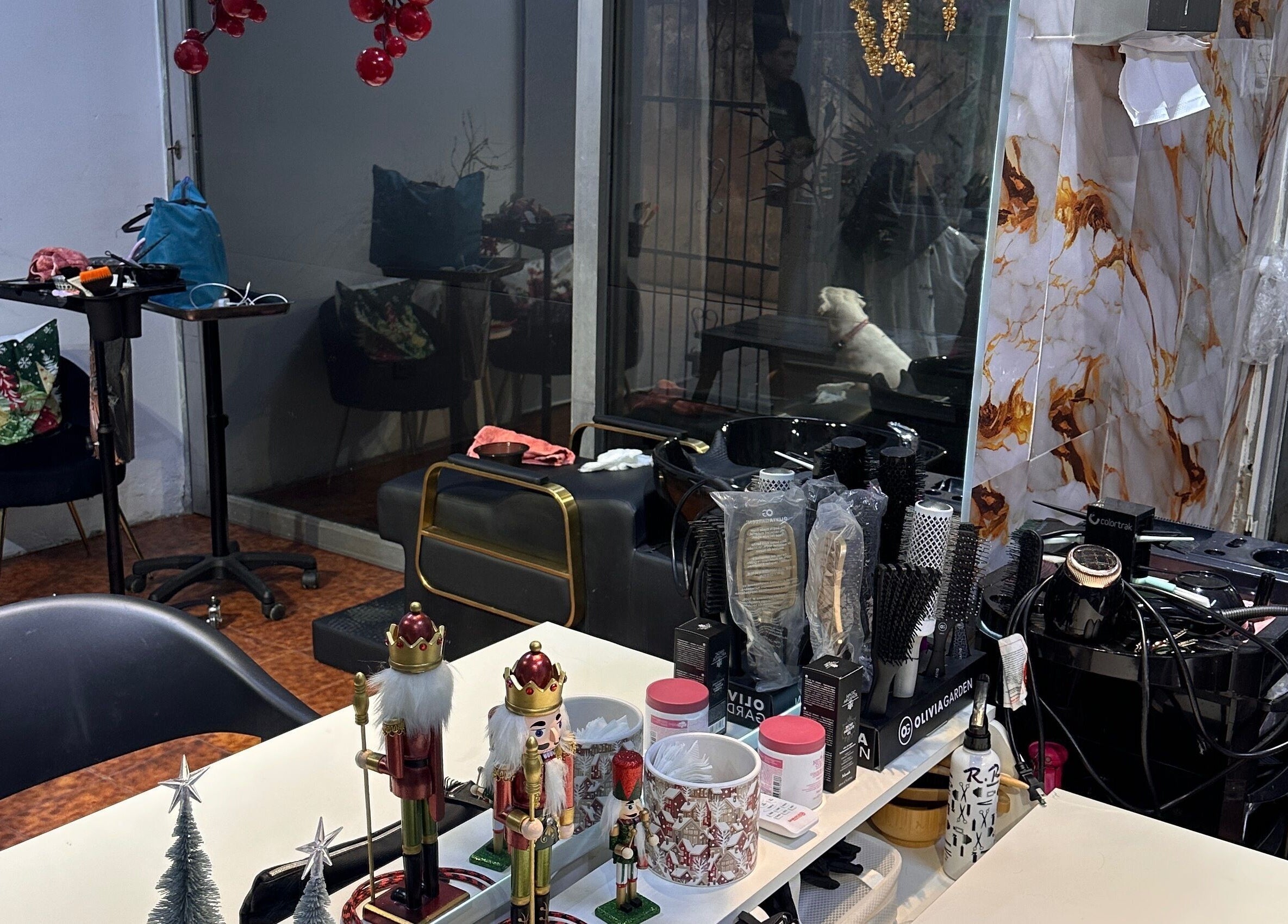 Interior decorado de Delkys Hair Studio en Valencia, Carabobo, VE, mostrando herramientas de peluquería.