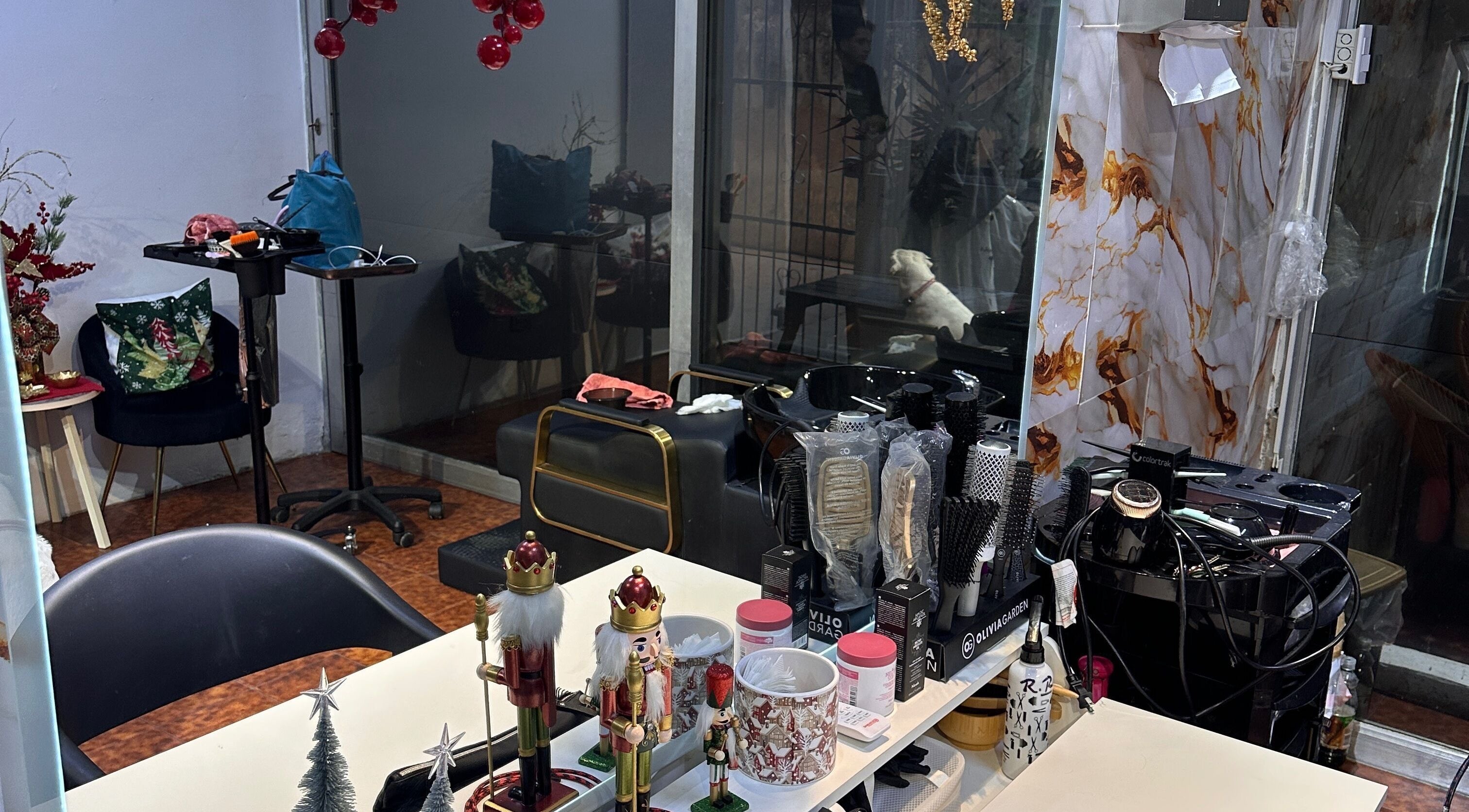 Interior decorado de Delkys Hair Studio en Valencia, Carabobo, VE, mostrando herramientas de peluquería.