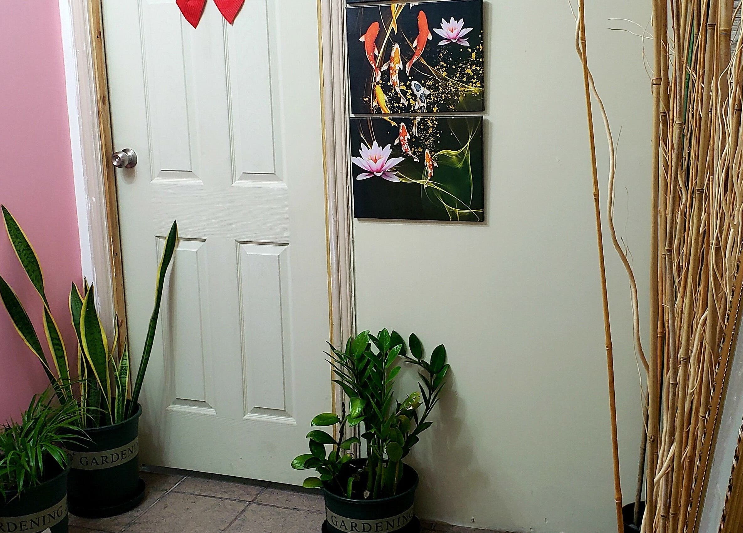 Decorative plants in Healing Emerald Wellness Spa & Training Centre Ltd, Kingston, St. Andrew Parish, JM.