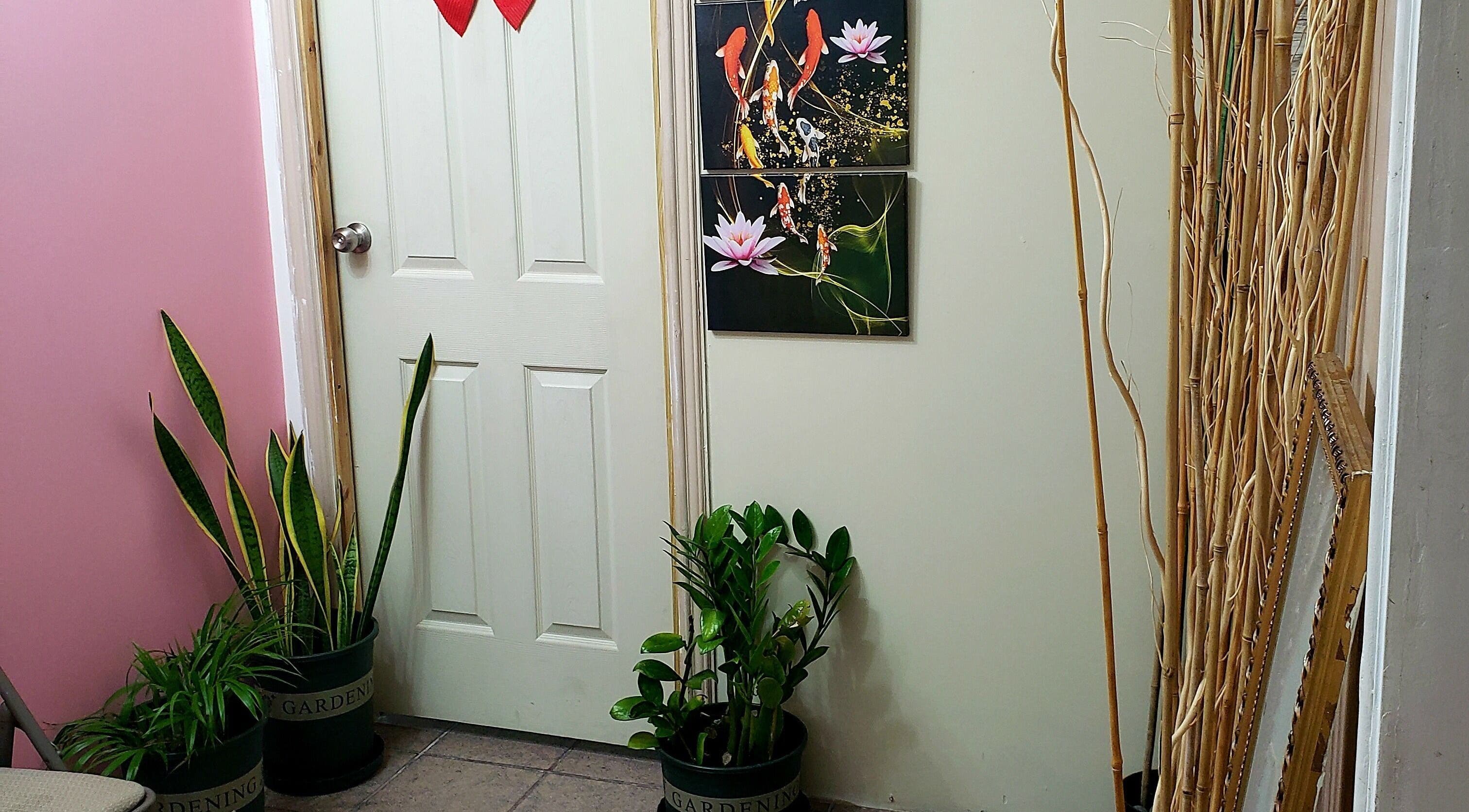 Decorative plants in Healing Emerald Wellness Spa & Training Centre Ltd, Kingston, St. Andrew Parish, JM.