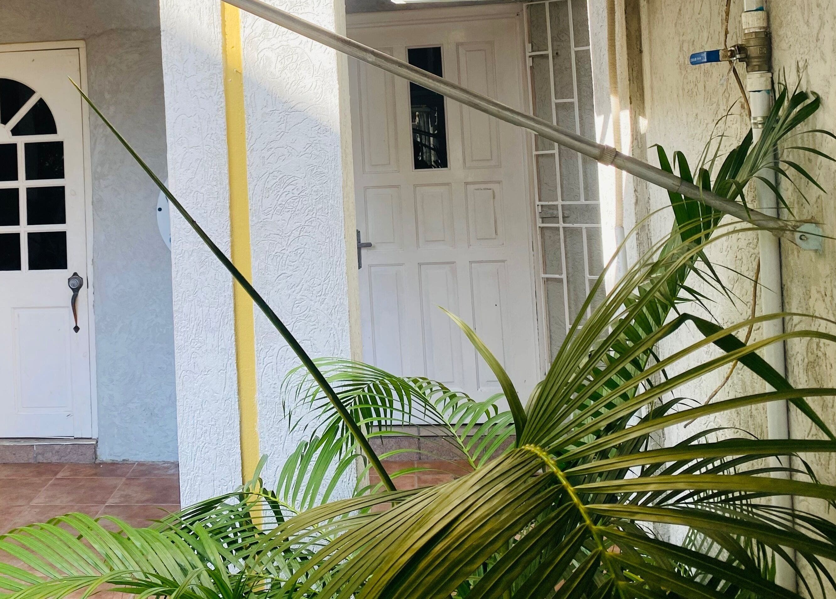 Entrance to Healing Emerald Wellness Spa & Training Centre Ltd, Kingston, St. Andrew Parish, JM with lush greenery.