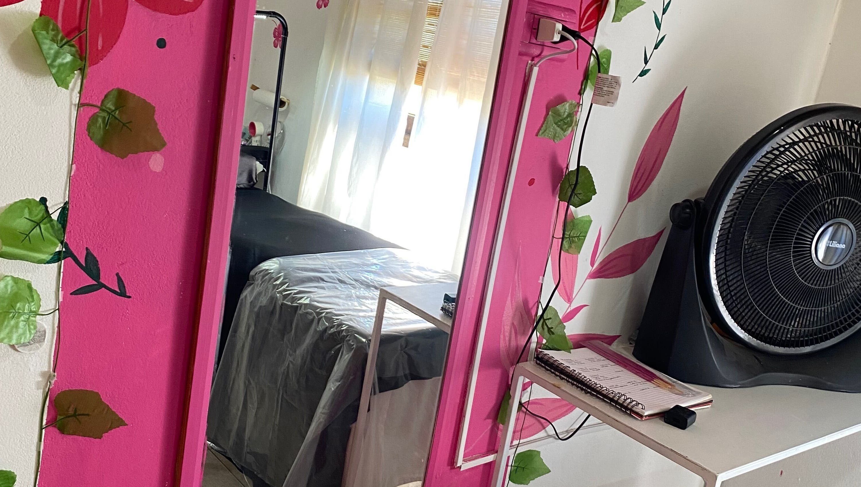 Colorful Aura treatment room in Gualeguaychú, Entre Ríos, AR with pink decor and leafy accents.