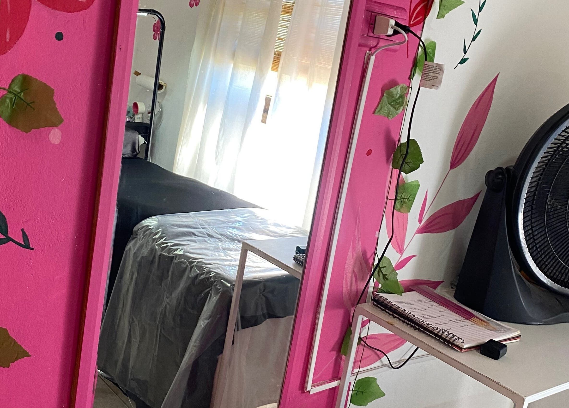 Colorful Aura treatment room in Gualeguaychú, Entre Ríos, AR with pink decor and leafy accents.