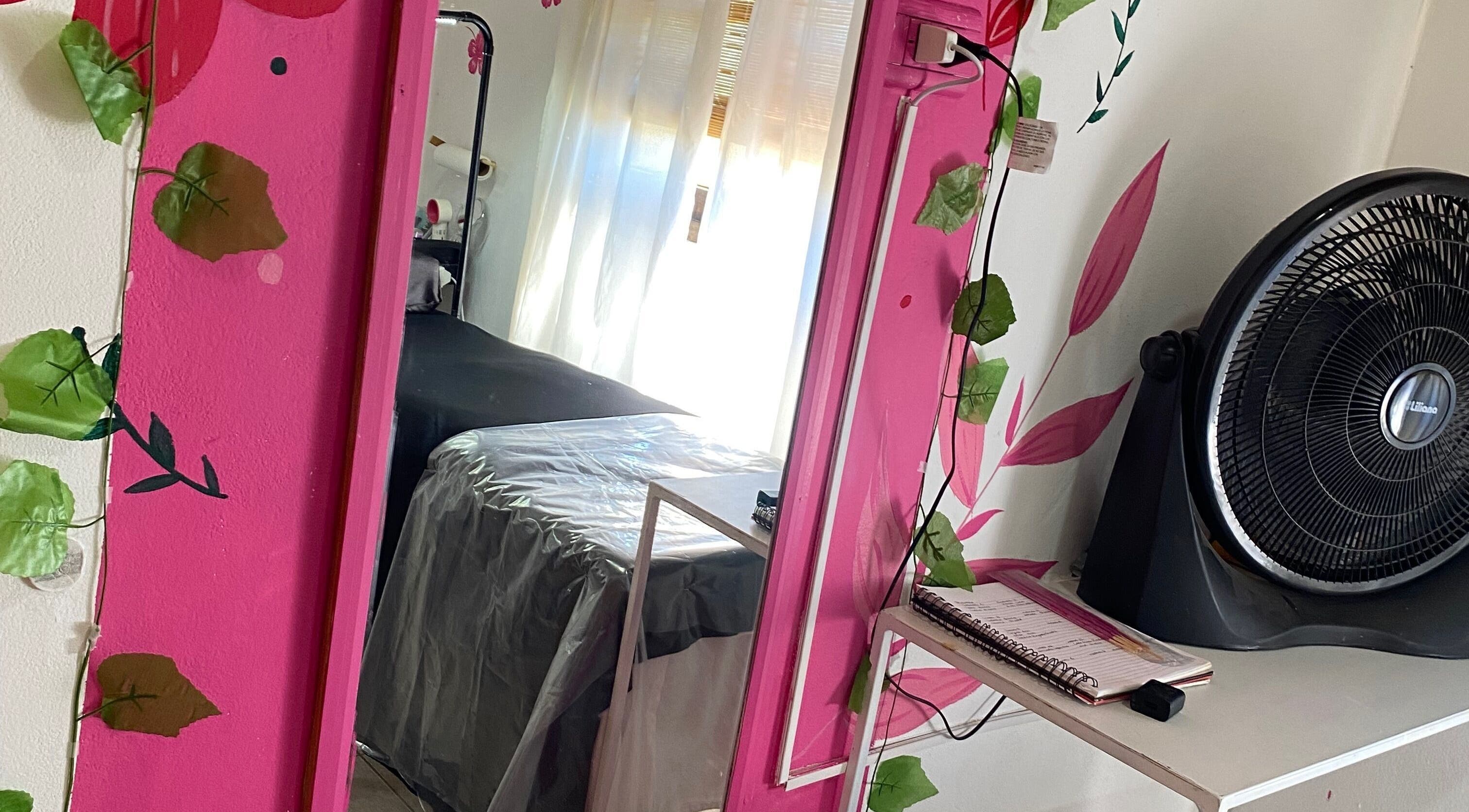 Colorful Aura treatment room in Gualeguaychú, Entre Ríos, AR with pink decor and leafy accents.