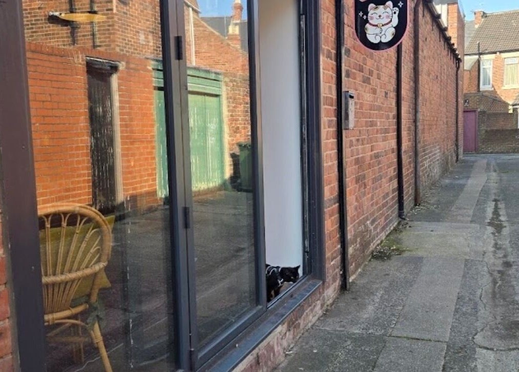 Brick exterior of Tylerstoreyhair in North Shields, England, with a glass window reflecting a chair.