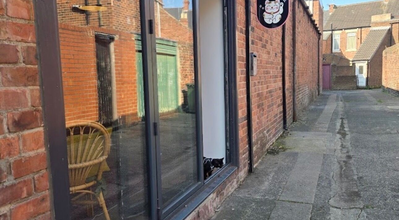Brick exterior of Tylerstoreyhair in North Shields, England, with a glass window reflecting a chair.