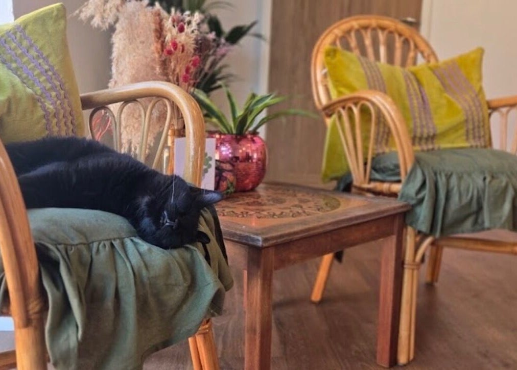 Relaxing atmosphere at Tylerstoreyhair, North Shields, England, with rattan chairs, pillows, and a black cat.