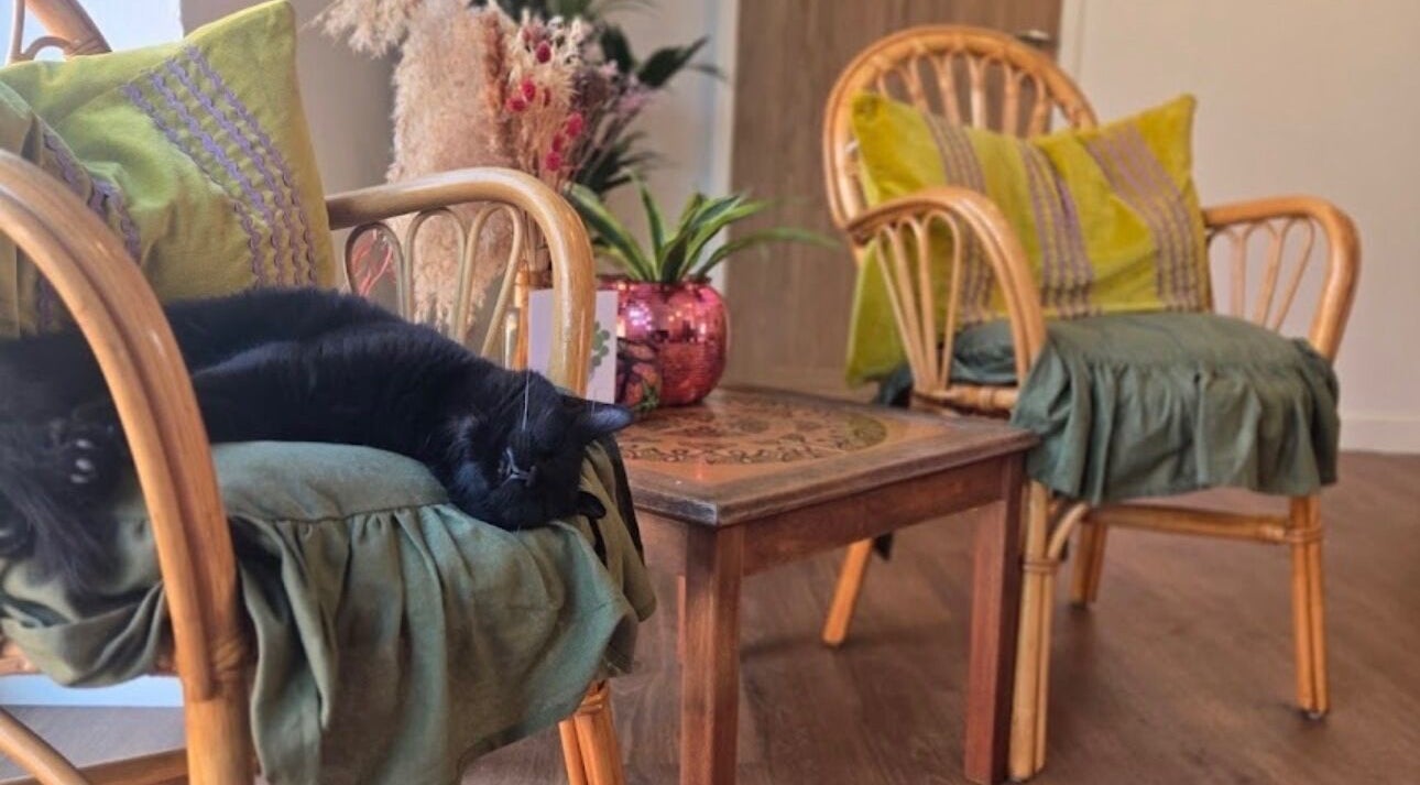 Relaxing atmosphere at Tylerstoreyhair, North Shields, England, with rattan chairs, pillows, and a black cat.