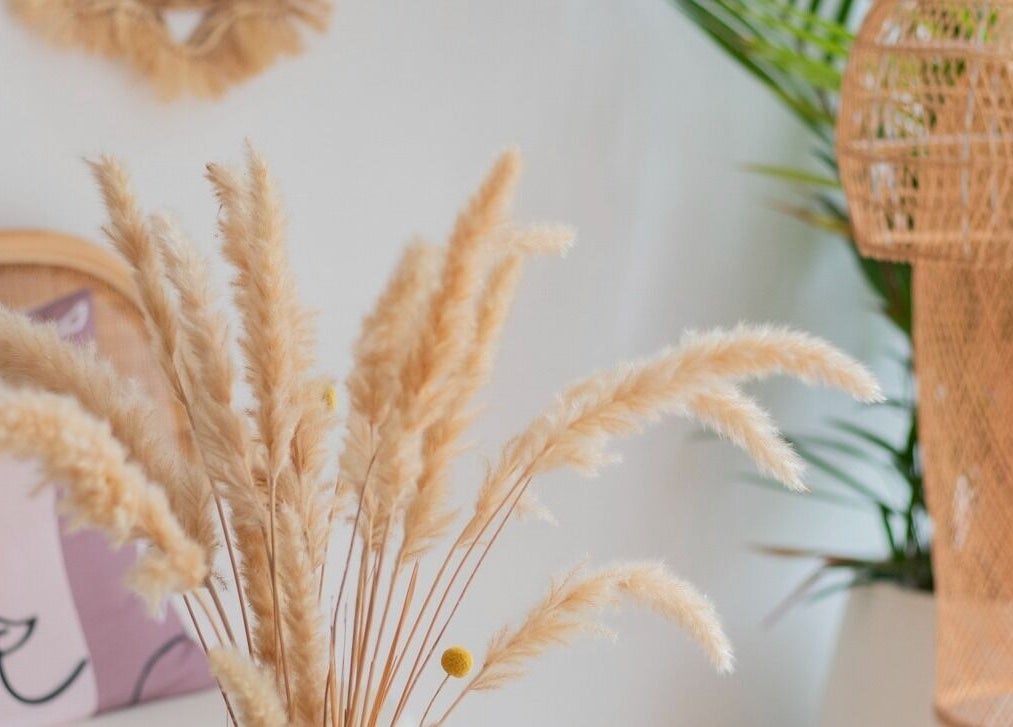 Elegant interior at My Beauty Place SDN Bhd, Kuala Lumpur, featuring pampas grass and wicker elements.