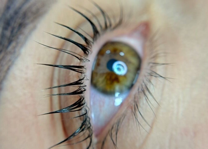 Close-up of styled eyelashes at AnglikBrowsStudio, Cundinamarca, Cundinamarca, CO, showcasing precision beauty.