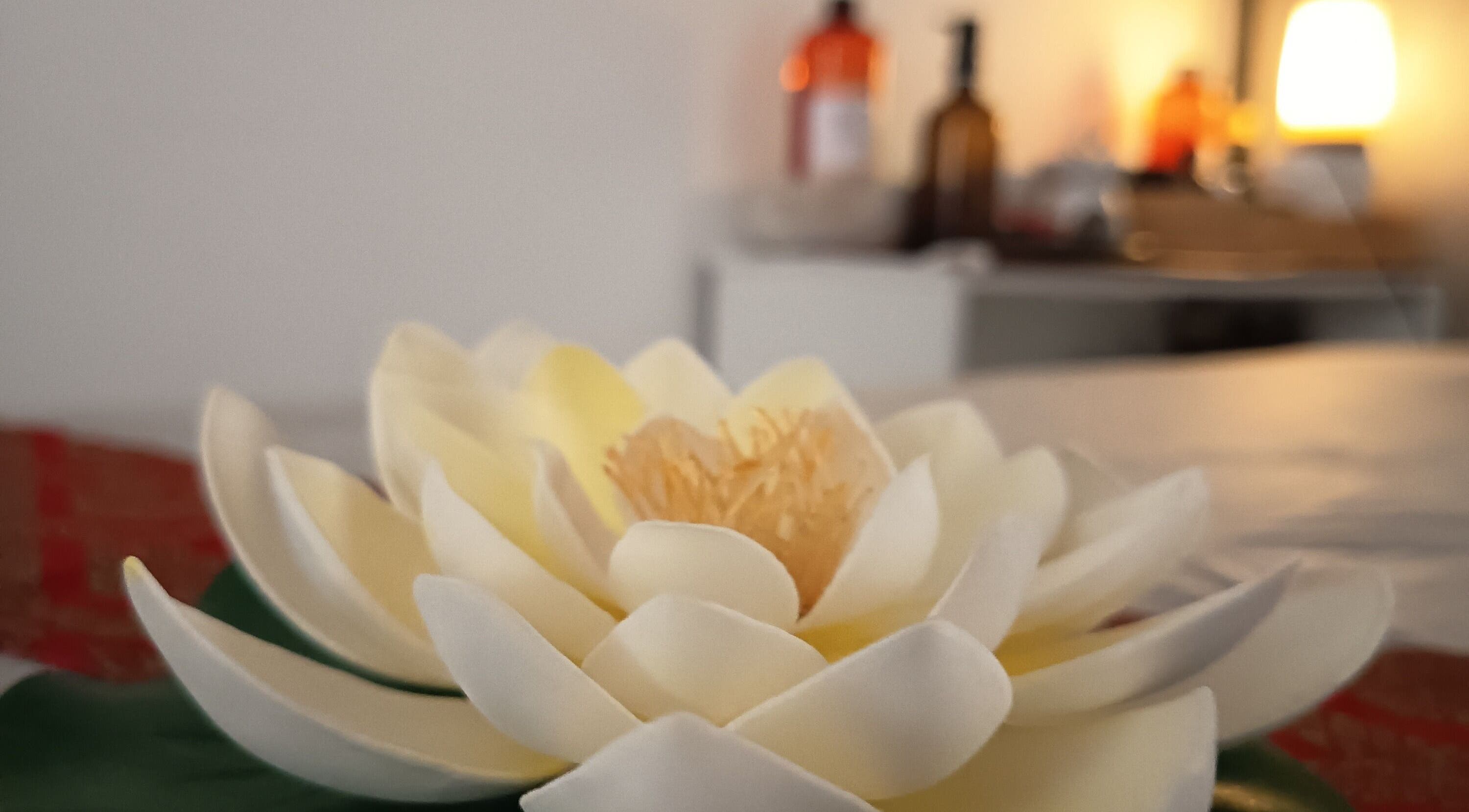 Fleur de lotus apaisante chez Patchama Bien Etre, Nice, Provence-alpes-côte D'azur, FR.