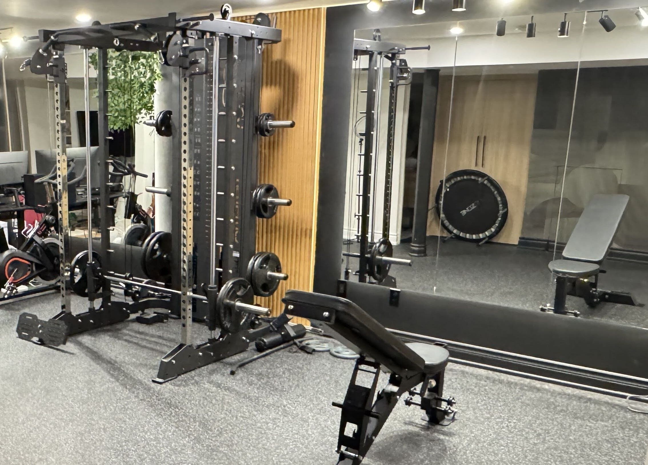 Modern gym setup at Allan Dominguez, CPT in Vaughan, Ontario, CA featuring workout equipment and mirrors.