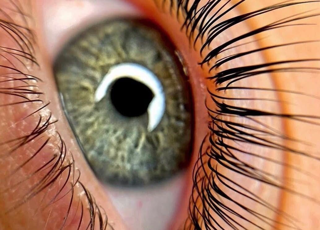 Close-up of styled eyelashes at Beauty by Yulia, Cwmbran, Wales, GB, showcasing expert lash care.